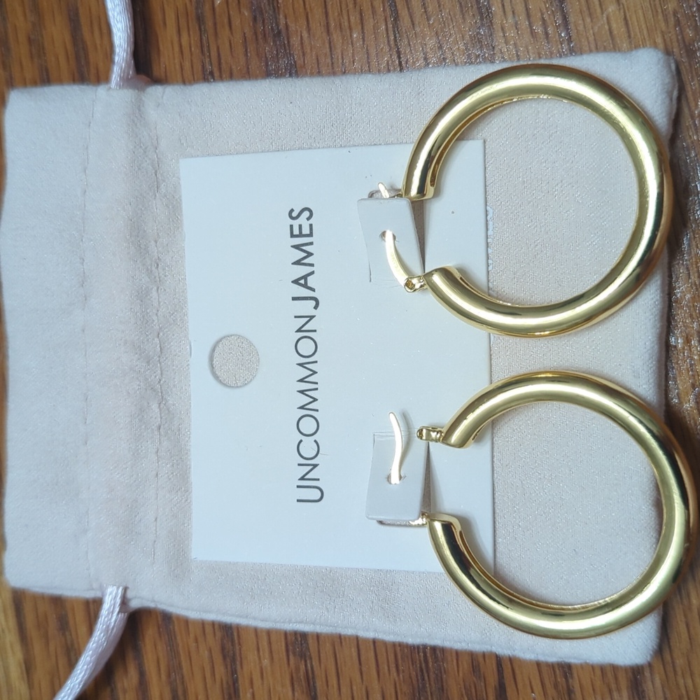 Staple Earrings